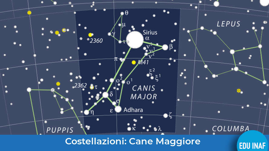 Cane Maggiore EduINAF