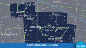 Costellazione balena evidenza