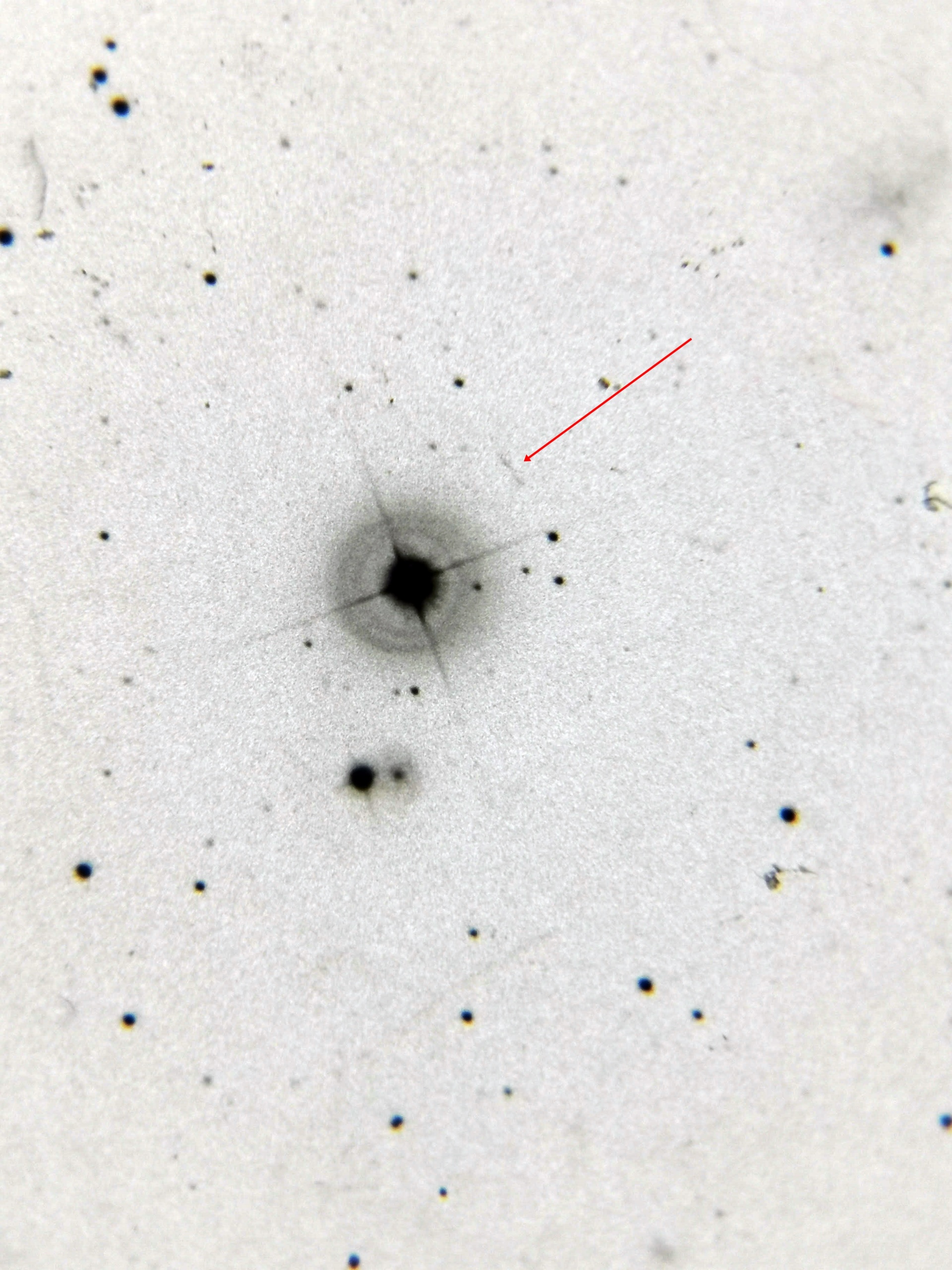 21MauraTombelli-Asteroide 1 con freccia