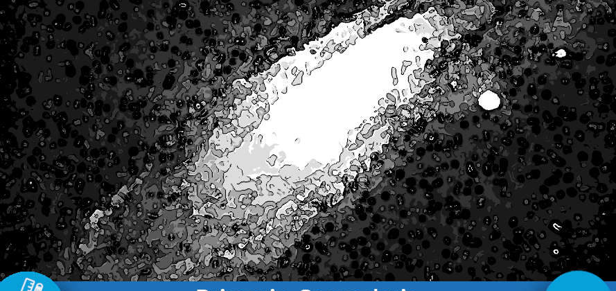 Cosmicomiche segno cielo evidenza