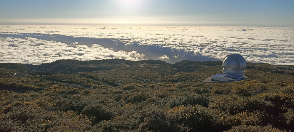 Stage La Palma2024 Mare Nubi