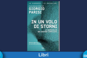 Volo Storni Parisi Evidenza
